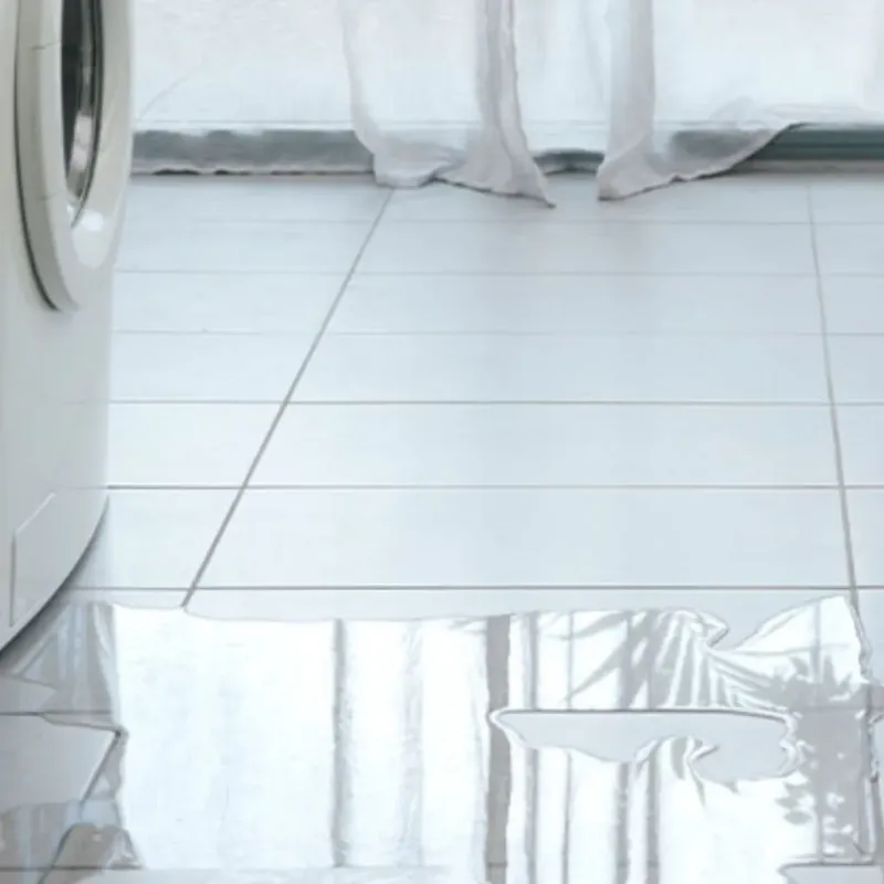 Appliance Leak Cleanup in Eastwood, MI