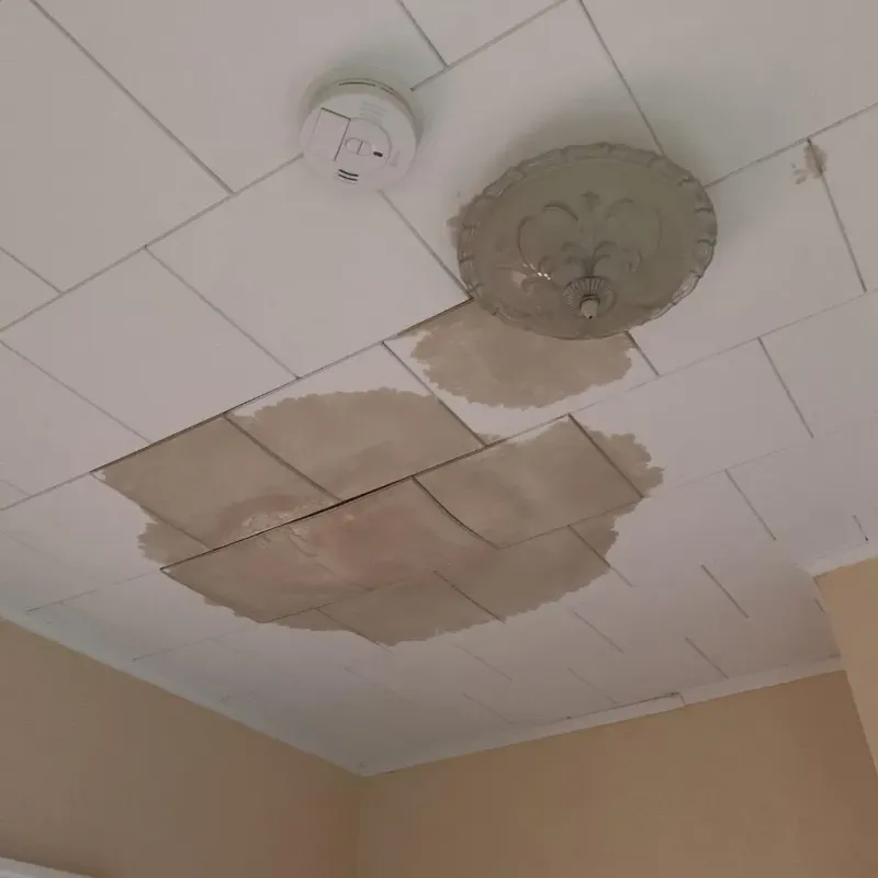 Ceiling Water Damage Repair in Eastwood, MI