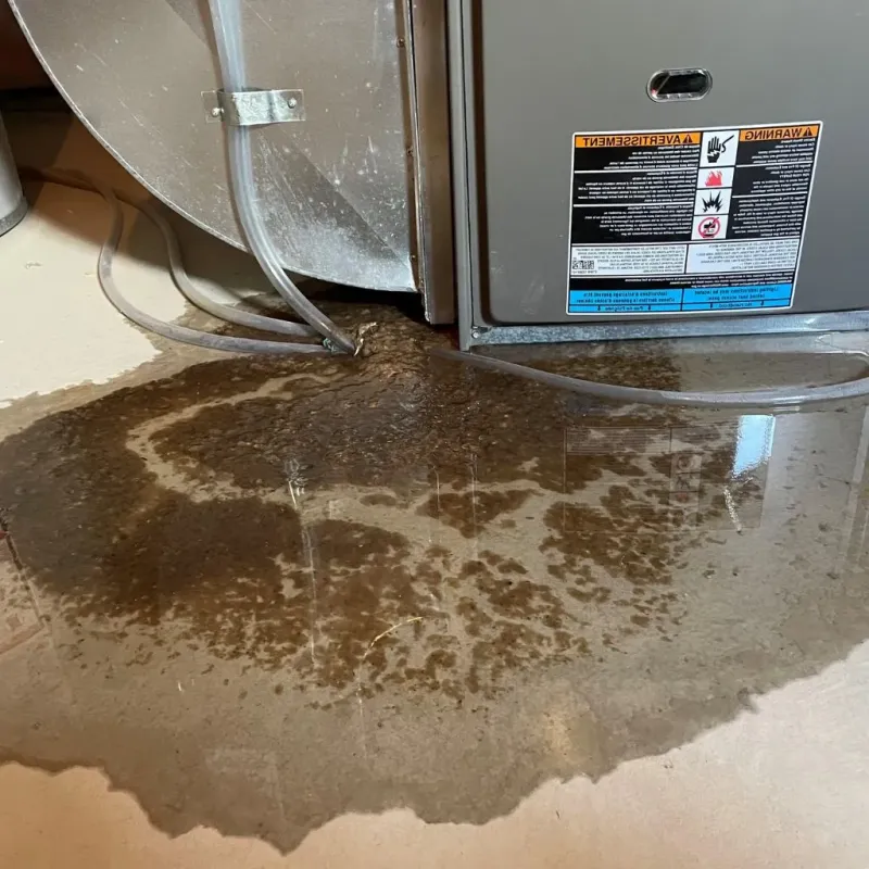 Pipe Burst and Leak Restoration in Eastwood, MI