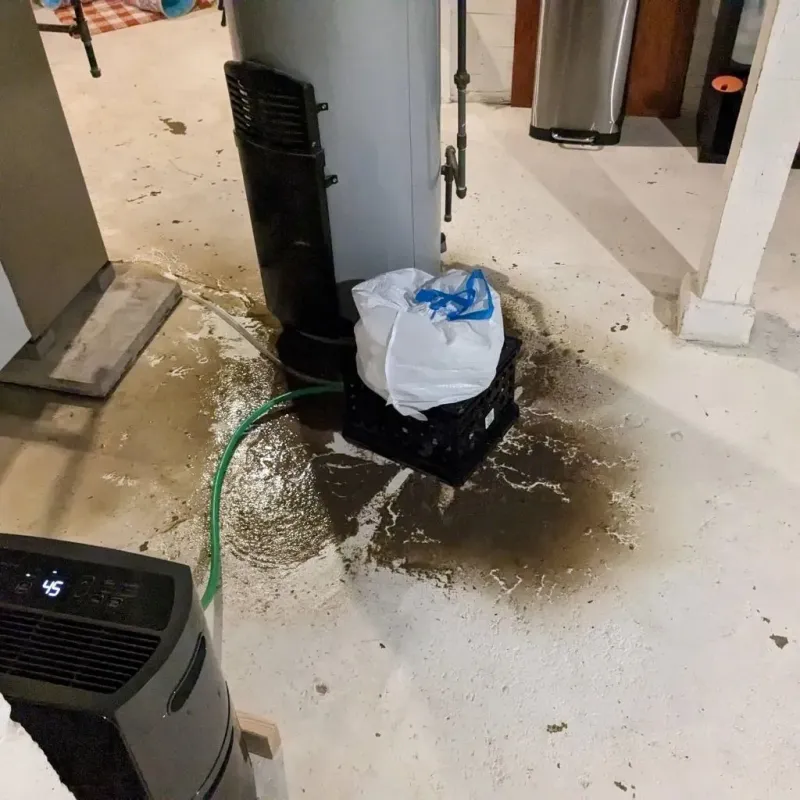 Sewage Backup Cleanup Service in Eastwood, MI